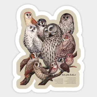 Owls of the Northeast Sticker